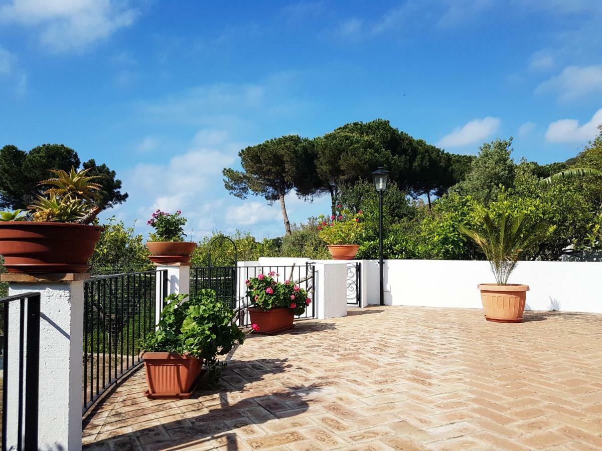 Villa Del Sogno Parghelia Extérieur photo